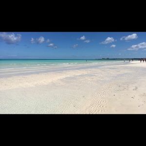 Meet your Posher, Maddison